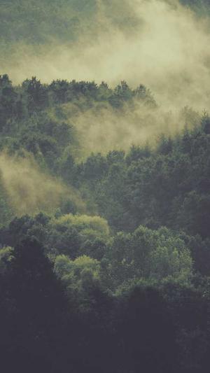 seo网站工具截图5