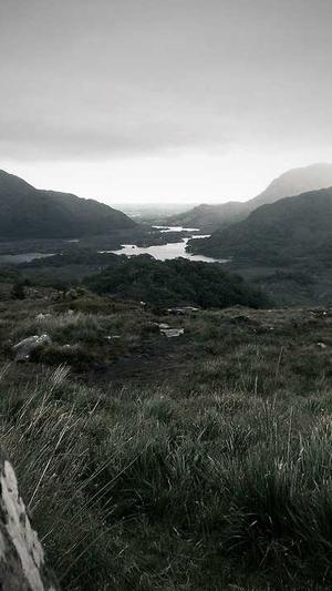 出名的网站建设公司截图4