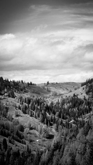 seo综合查询工具截图1