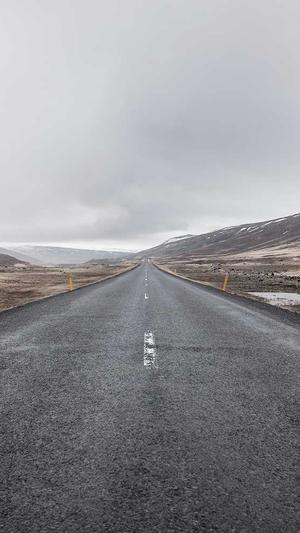 蜘蛛池出租服务选哪家截图3