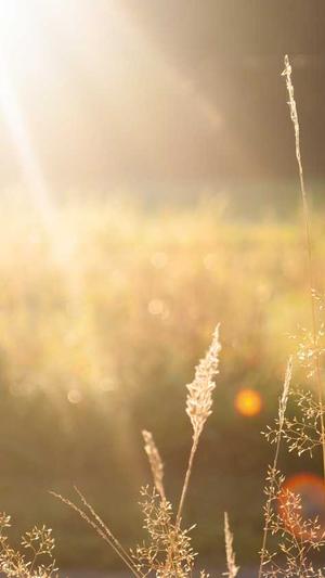 站长工具seo推广是什么截图5