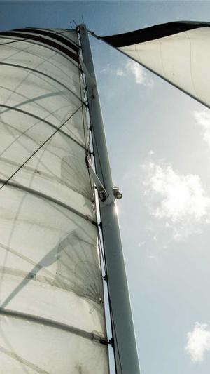 seo 优化建议工具截图2