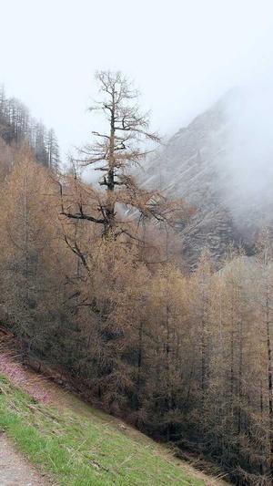 如何进行网站建设截图3