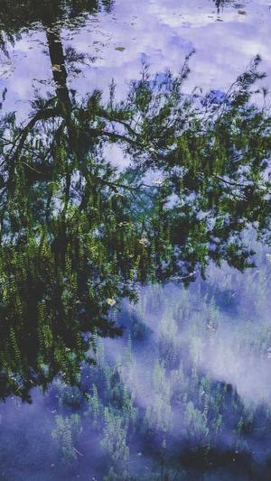 周口网站建设截图2