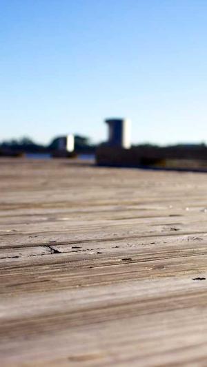 青岛网站建设截图3