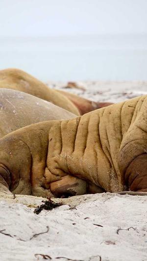 泛目录与二级目录截图5