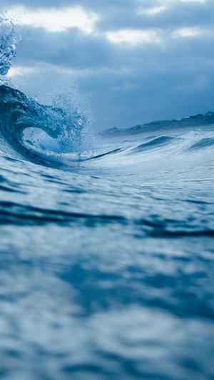 遵义seo优化截图2