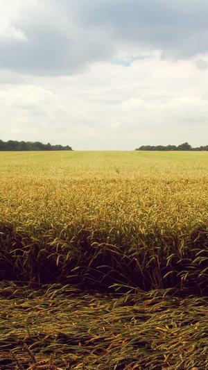 超级蜘蛛池好用截图2
