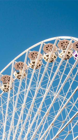 广东蜘蛛池租用包月截图3