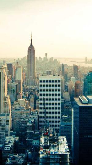 seo搜索引擎营销工具截图5