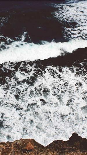 福建蜘蛛池出租服务截图2