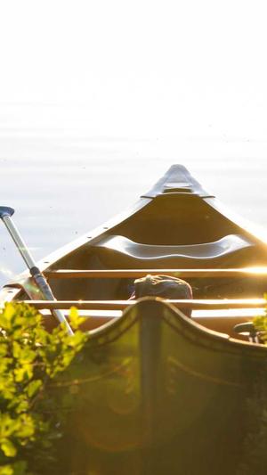 mip泛目录站群截图3