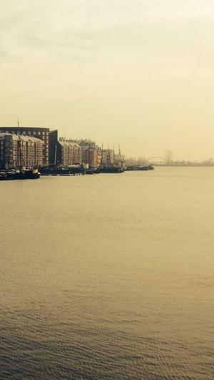 seo黑帽培训推广工具截图3