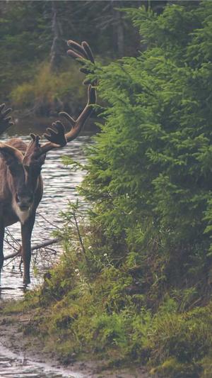 宜兴网站建设截图1