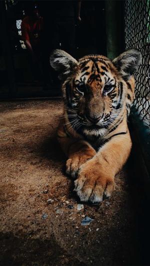 seo优化工具包截图1