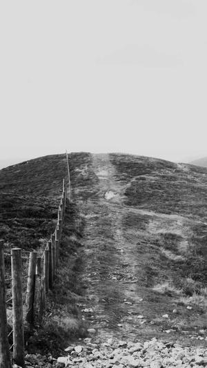 蜘蛛池程序源书籍截图2