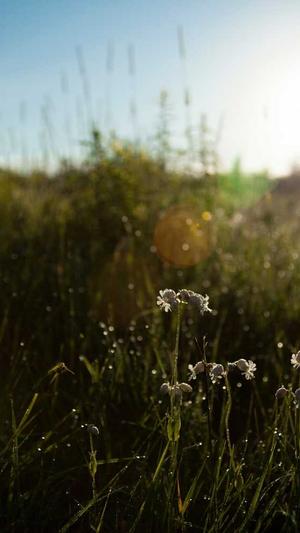 可靠的上海网站建设截图5