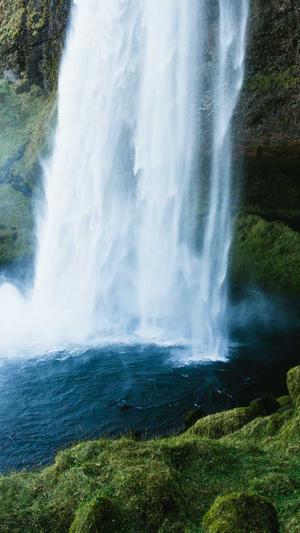 北京蜘蛛池租用截图1