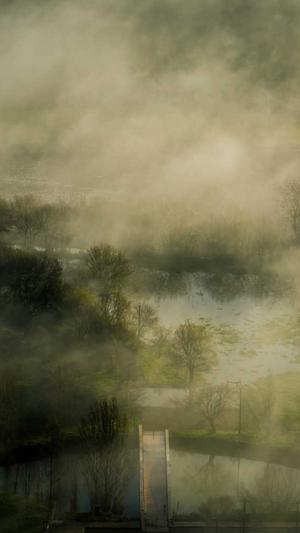 国内蜘蛛池排名第几截图5