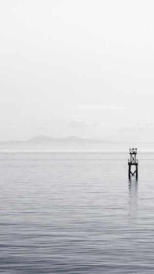 超级SEO工具截图1