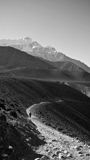 速贝seo实战培训截图3