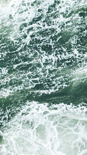 商务卫士与蜘蛛池截图2