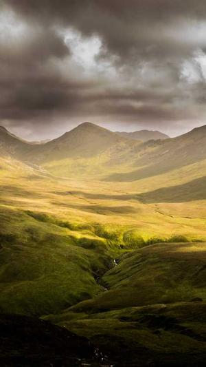 泛目录链接营销截图1