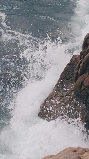 网站建设怎么进行一级域名申请截图1