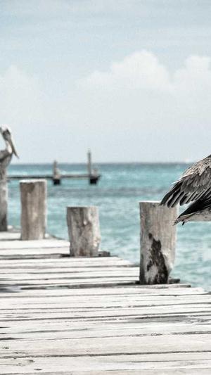 蜘蛛池提高权重截图3