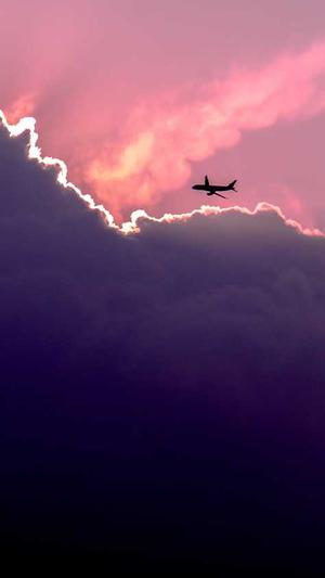 seo站长工具测试截图1