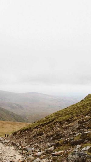 网站seo分析工具包截图1