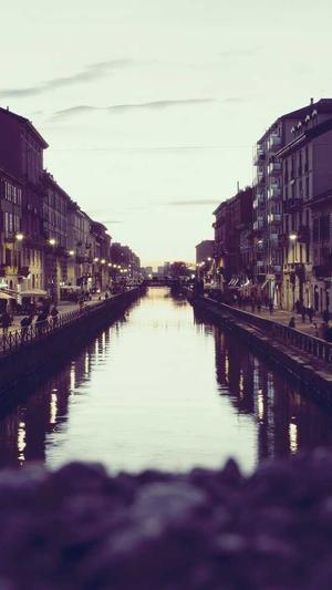 网站建设专家截图1