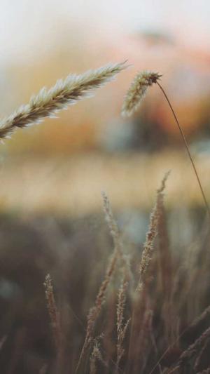 建设网站制作截图5