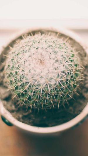 seo 泛目录外推截图2