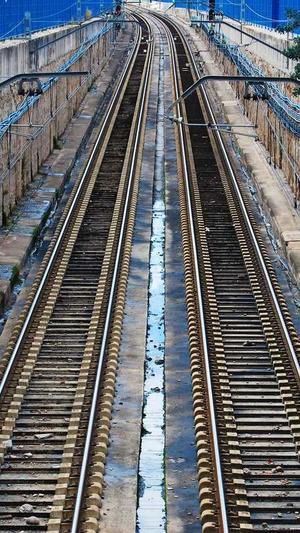 seo站群怎么建立泛目录截图2