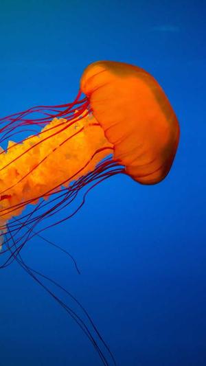 东莞网站建设网站建设截图1