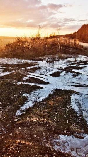 重庆网站建设圣矢截图2