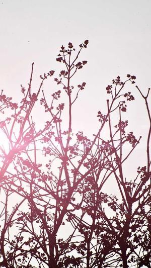 如何进行网站建设截图2