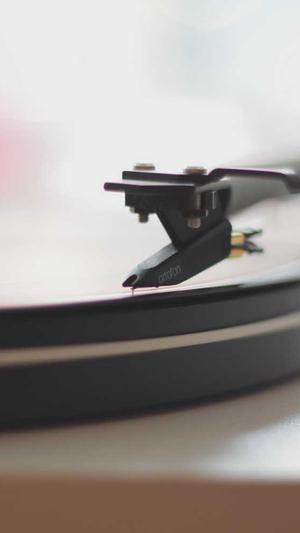 哪里有好点的蜘蛛池租截图2