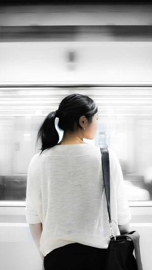 泛目录单页站群截图1