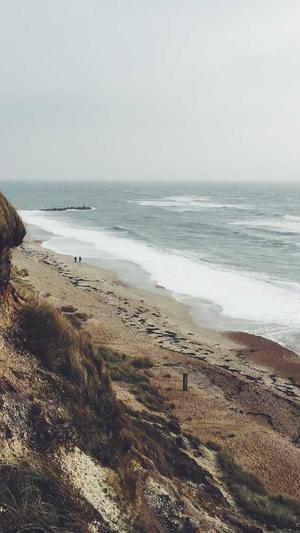 蜘蛛池是什么材质做的截图1