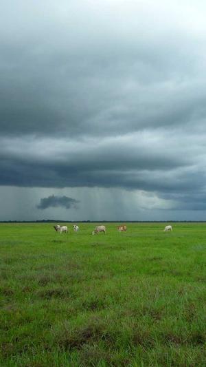 seo优化排名工具哪家好截图2