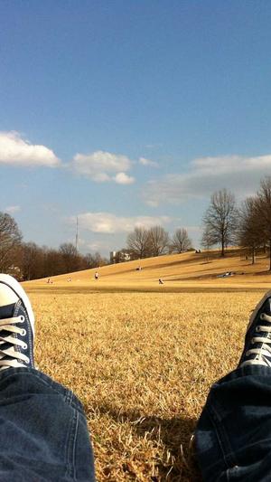 搜狗蜘蛛池程序打不开截图1