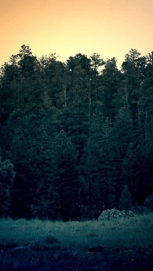 seo网站优化排名截图1