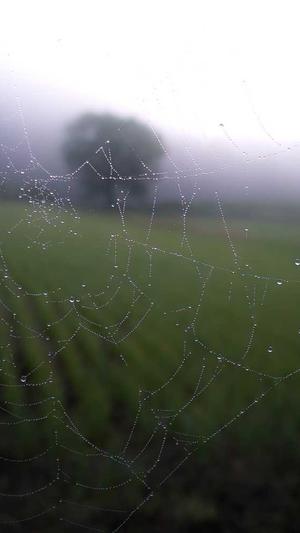 长沙网站建设公司截图3