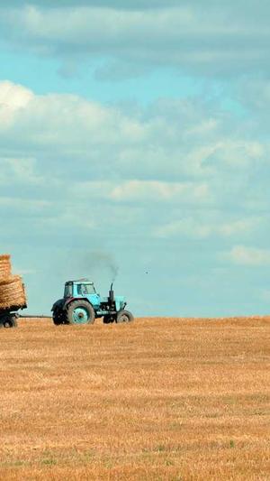 网站建设方案截图2