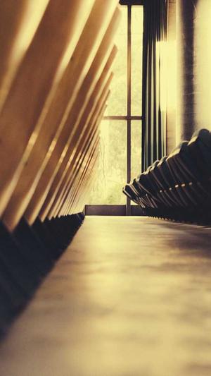 如何搭建自己的蜘蛛池截图1