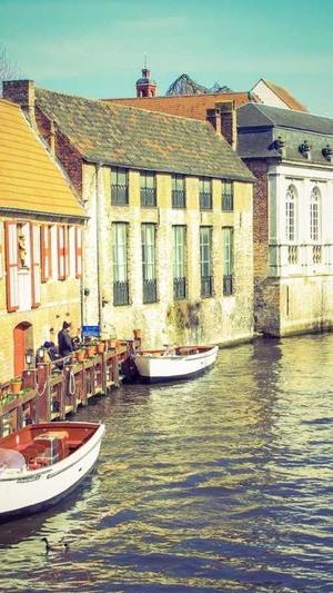 seo网站工具截图3