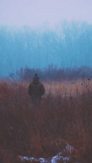 比较网站建设截图3