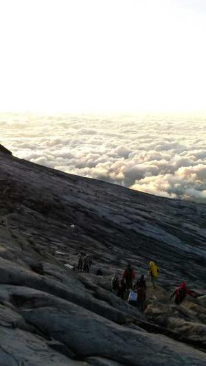 枣庄seo优化截图2